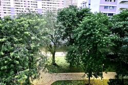 Blk 528 Jurong West Street 52 (Jurong West), HDB 4 Rooms #461113581